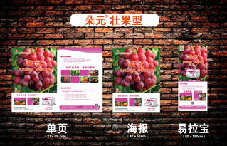 產(chǎn)品系列宣傳廣告